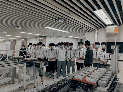 河南网络技术服务蓬勃发展，助力数字强省建设迈入新阶段